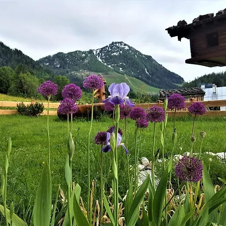 4 Bergpanorama Mit Herrlicher Alpinen Almlandschaft Fuer Absolute Nichtraucher *