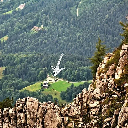 Apartment 4 Bergpanorama Mit Herrlicher Alpinen Almlandschaft Fuer Absolute Nichtraucher *