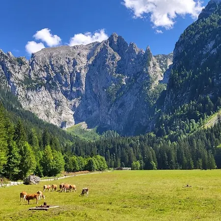 4 Bergpanorama Mit Herrlicher Alpinen Almlandschaft Fuer Absolute Nichtraucher *