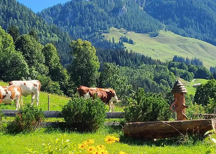 4 Bergpanorama Mit Herrlicher Alpinen Almlandschaft Fuer Absolute Nichtraucher