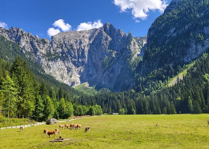 4 Bergpanorama Mit Herrlicher Alpinen Almlandschaft Fuer Absolute Nichtraucher *