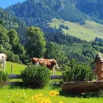 4 Bergpanorama Mit Herrlicher Alpinen Almlandschaft Fuer Absolute Nichtraucher