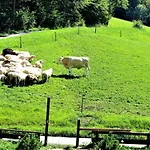 4 Bergpanorama Mit Herrlicher Alpinen Almlandschaft Fuer Absolute Nichtraucher