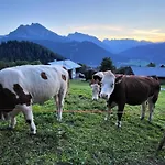 Apartamento 4 Bergpanorama Mit Herrlicher Alpinen Almlandschaft Fuer Absolute Nichtraucher