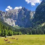 4 Bergpanorama Mit Herrlicher Alpinen Almlandschaft Fuer Absolute Nichtraucher *