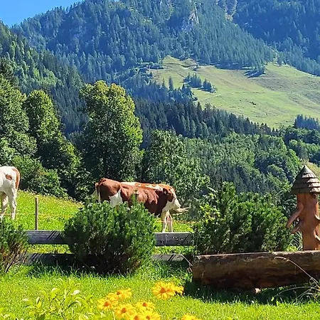 4 Bergpanorama Mit Herrlicher Alpinen Almlandschaft Fuer Absolute Nichtraucher