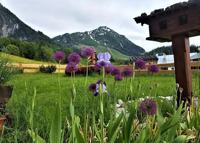 4 Bergpanorama Mit Herrlicher Alpinen Almlandschaft Fuer Absolute Nichtraucher *