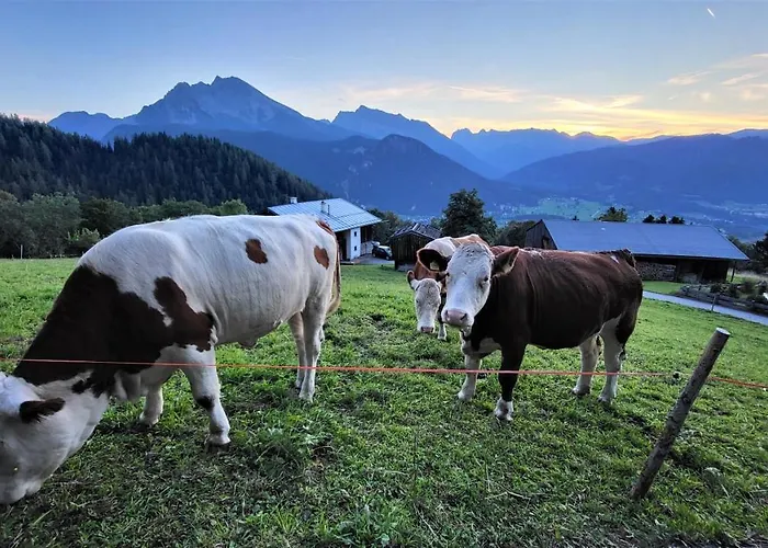 Apartamento 4 Bergpanorama Mit Herrlicher Alpinen Almlandschaft Fuer Absolute Nichtraucher
